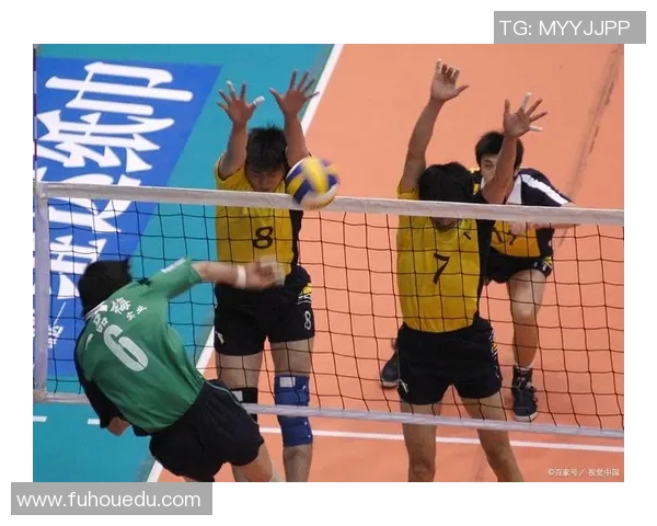 重庆排球队技术探讨：提升战术水平与团队协作的关键要素