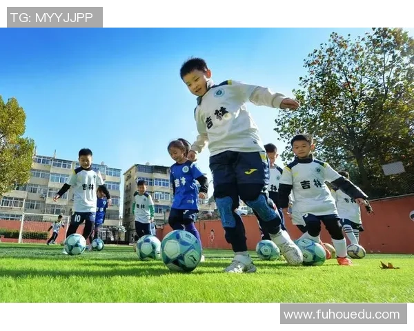 守卫绿茵场的足球明星们如何用激情与坚持书写传奇人生